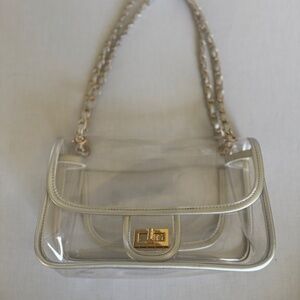 Transparent Chanel Style bag w/Gold Turn lock and Chain and Silver Trim